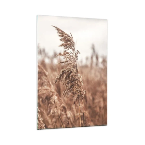 Quadro em vidro - O outono já chegou ao campo - 80x120 cm