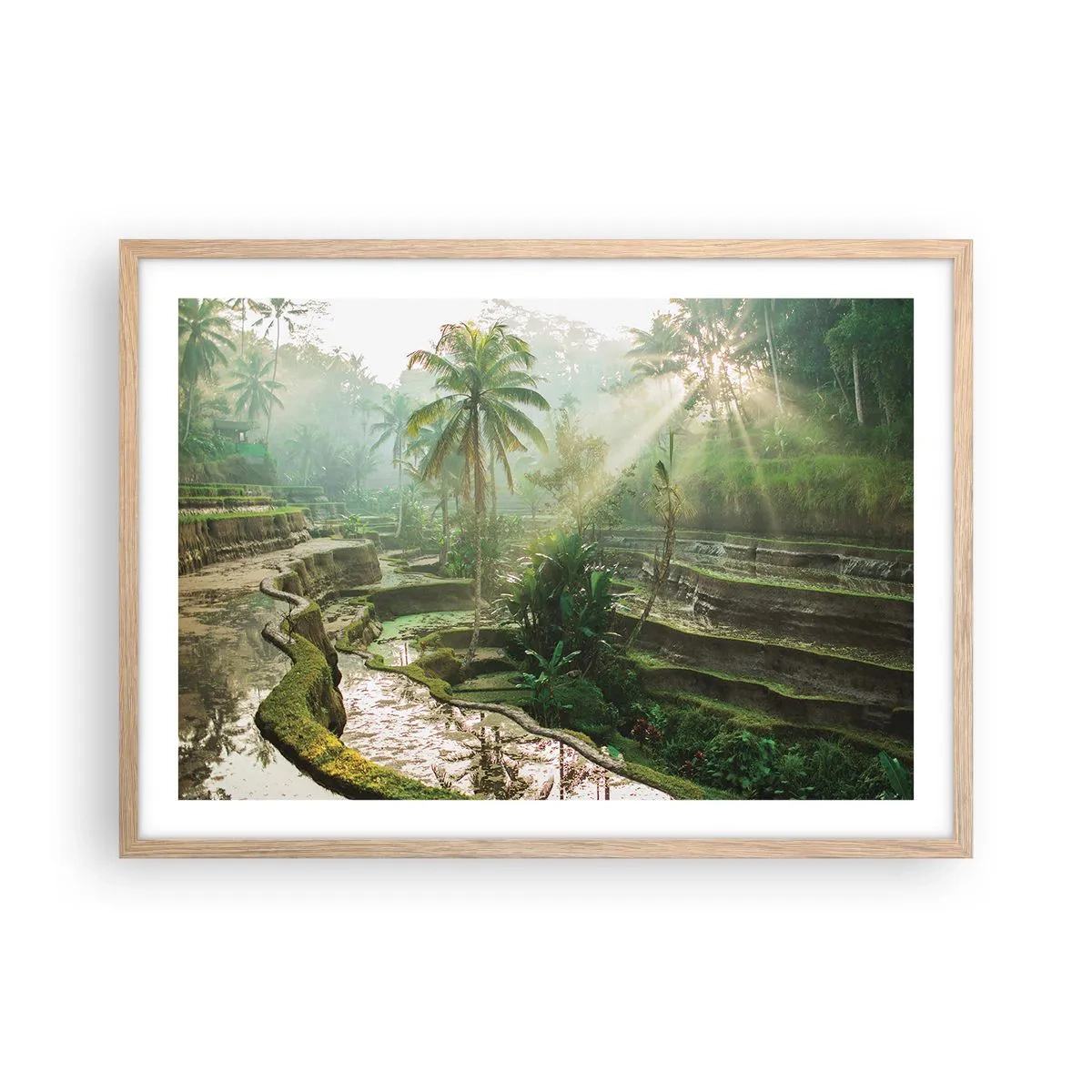 Pôster com moldura de carvalho claro - Crescer ao sol - 70x50 cm