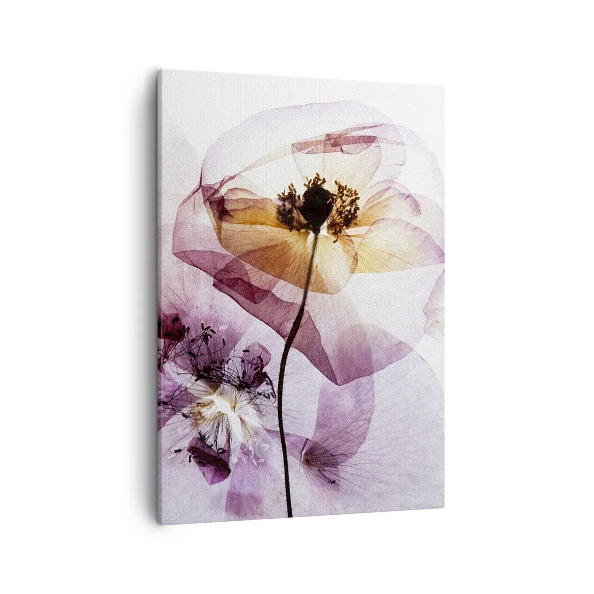 Quadro em tela - A transparência das flores - 50x70 cm