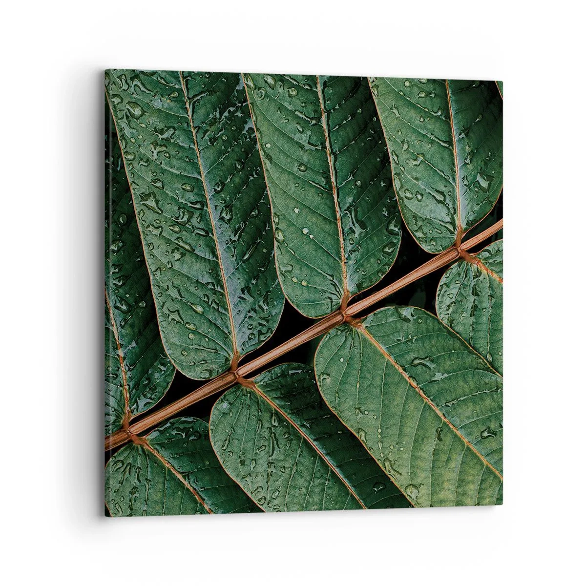 Quadro em tela - Num ritmo verde - 70x70 cm