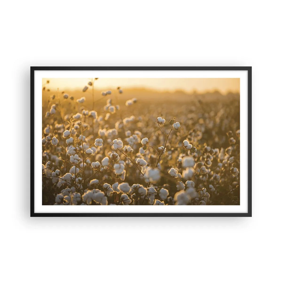 Pôster com moldura preta - Campo macio - 91x61 cm