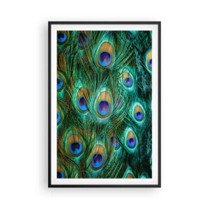 Pôster com moldura preta - Um olhar de pavão - 61x91 cm