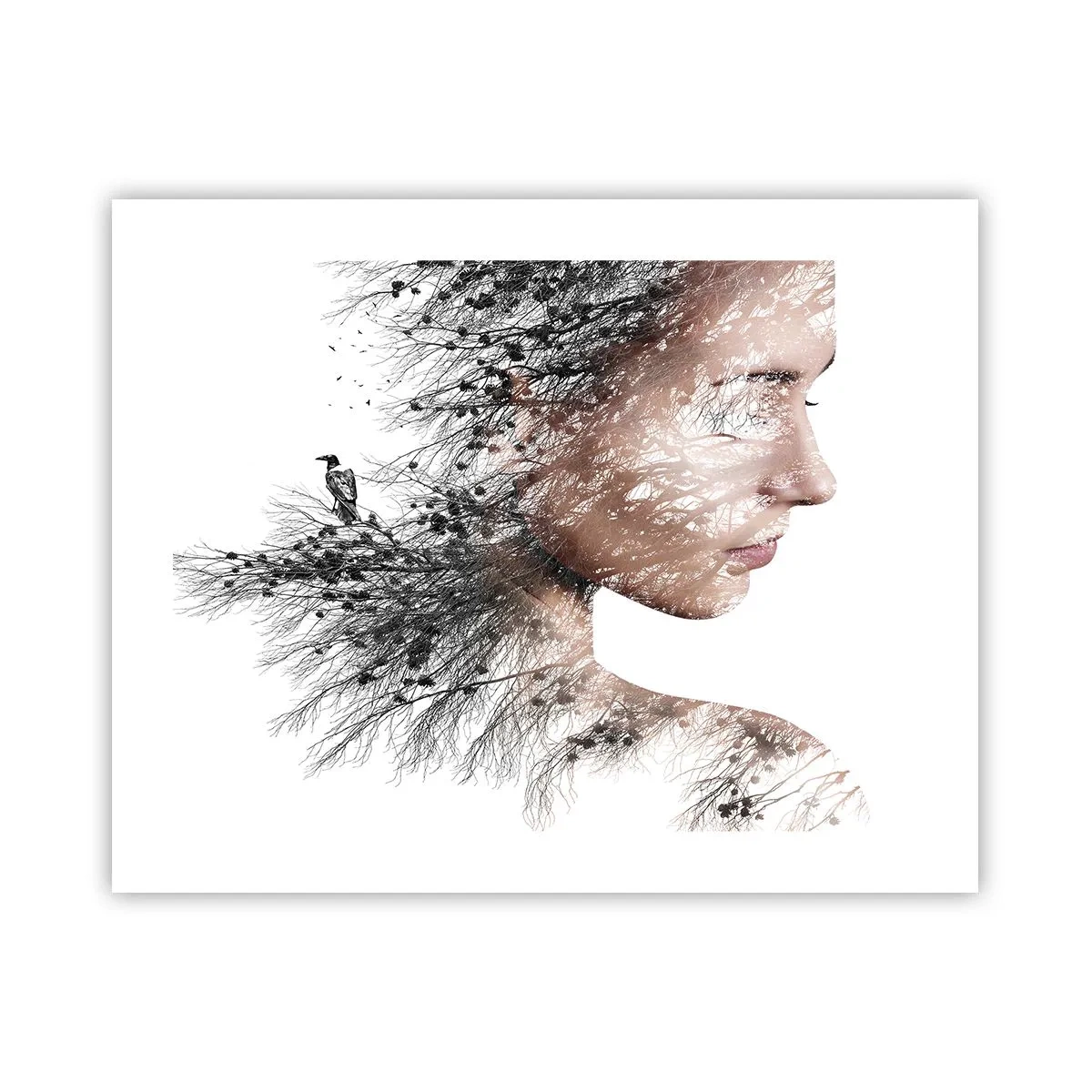 Pôster - Espírito da floresta - 50x40 cm