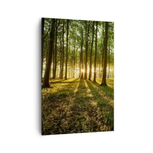 Quadro em tela - Fotografia de todas as primaveras - 70x100 cm