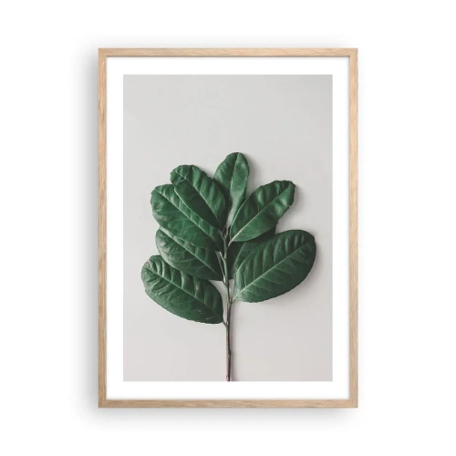 Pôster com moldura de carvalho claro - Desenho da própria natureza - 50x70 cm
