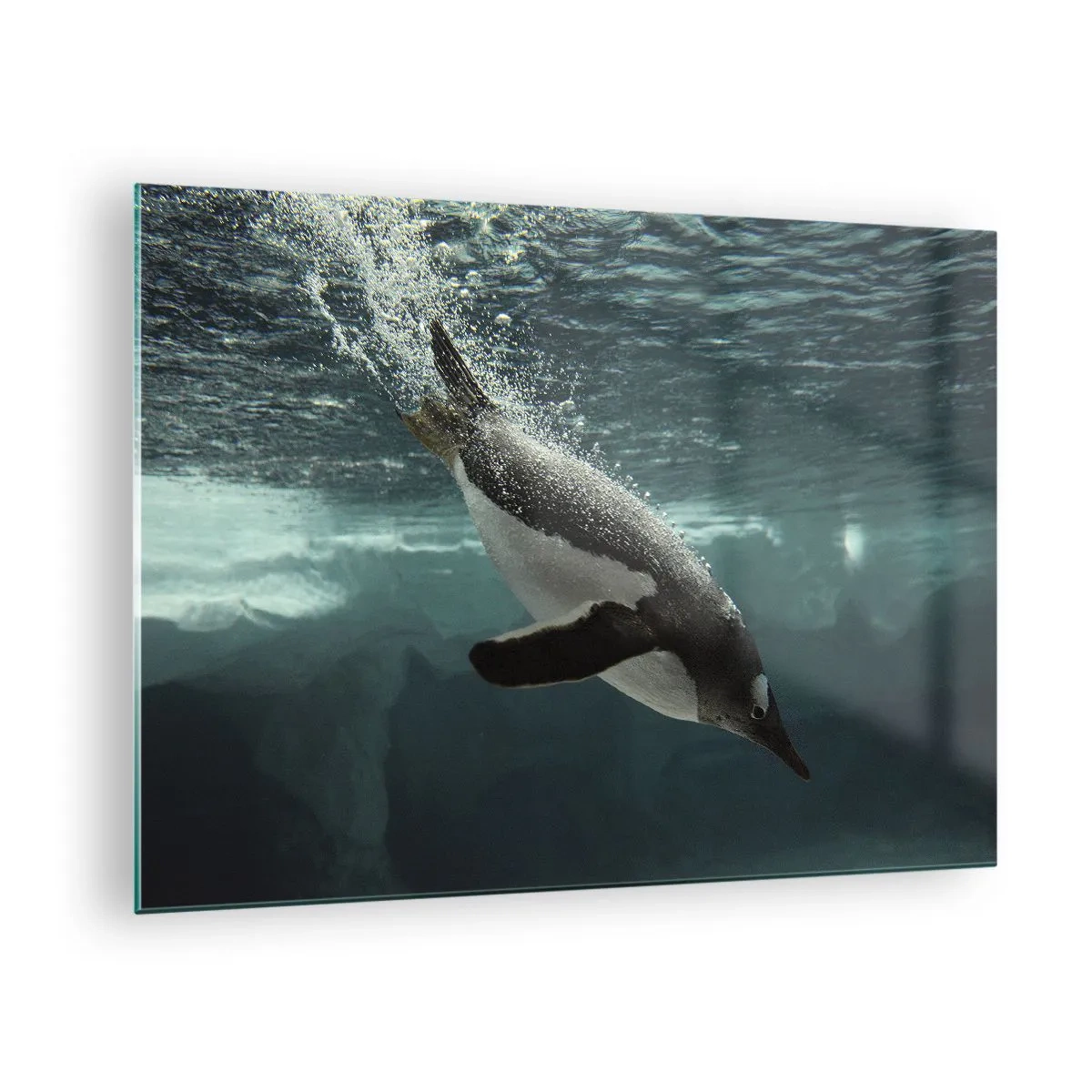 Quadro em vidro - Pinguim subaquático - 70x50cm - Bem-vindo ao meu mundo - Decoração de parede moderna para a sala de estar e quarto ARTTOR