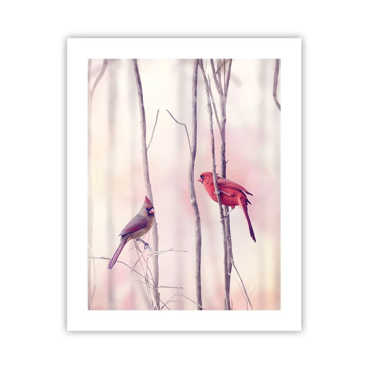 Pôster - O Conto da floresta rosa - 40x50 cm