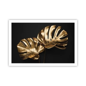 Pôster - Tesouros da natureza - 91x61 cm