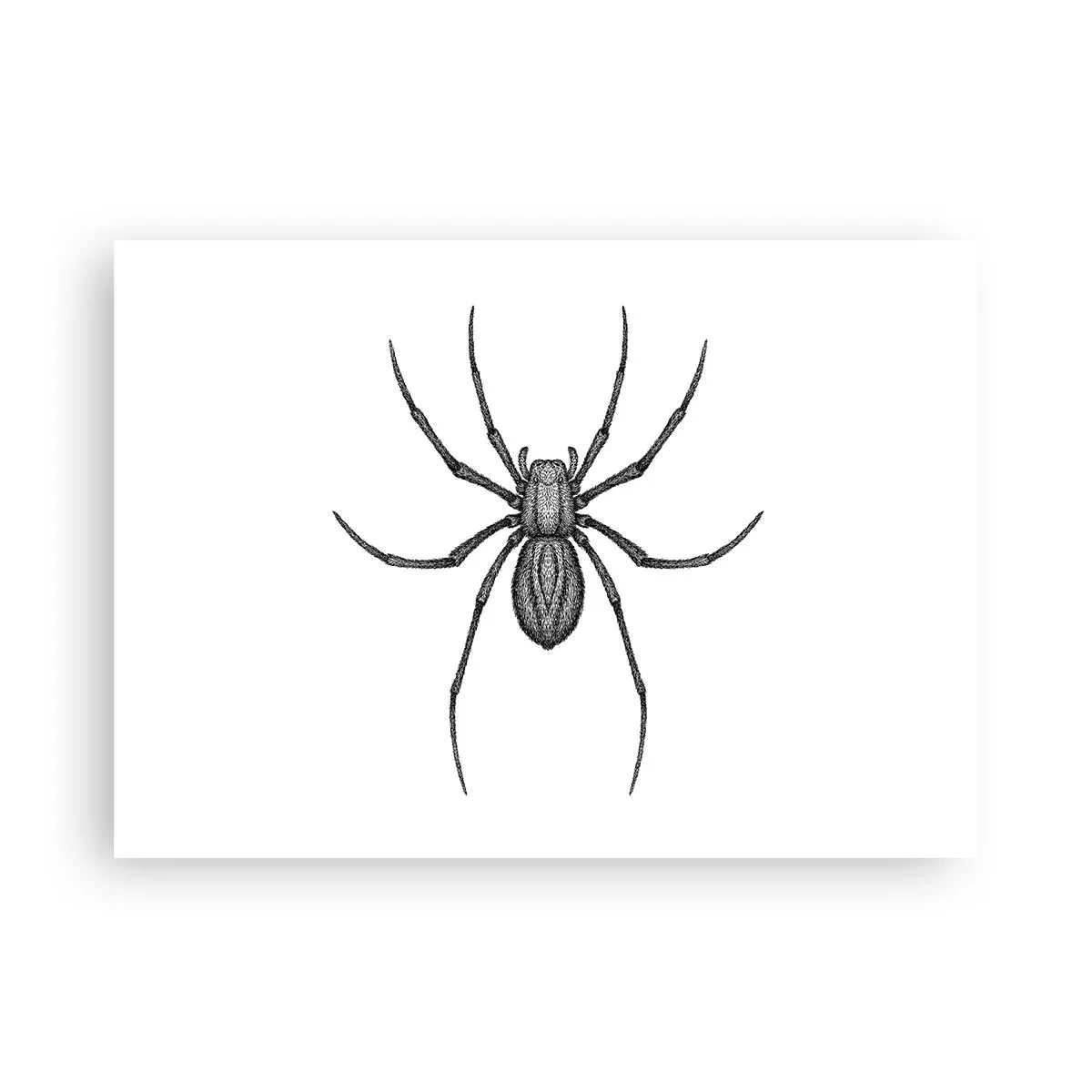 Pôster - Precisão perturbadora - 70x50 cm