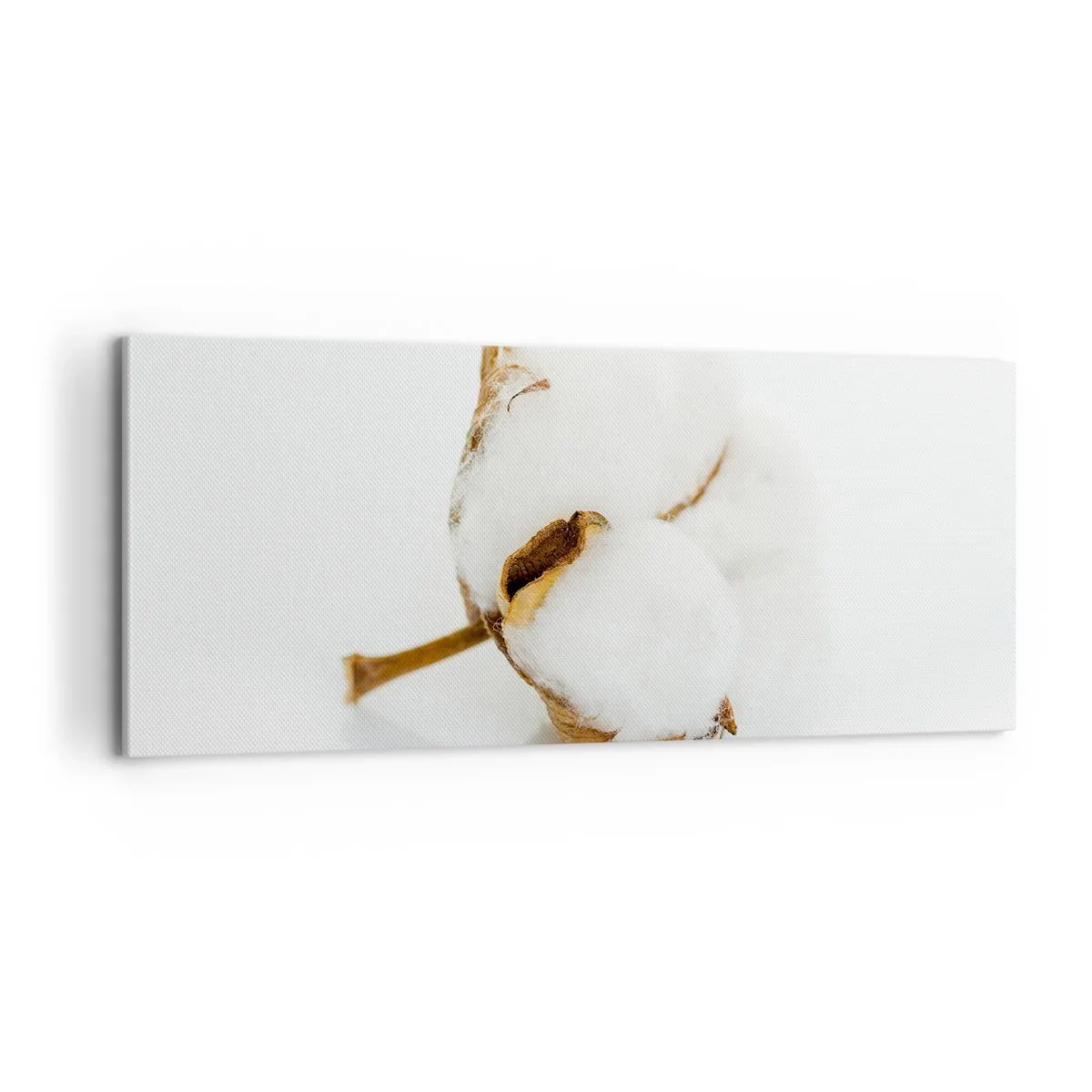 Quadro em tela - Suave por natureza - 100x40 cm