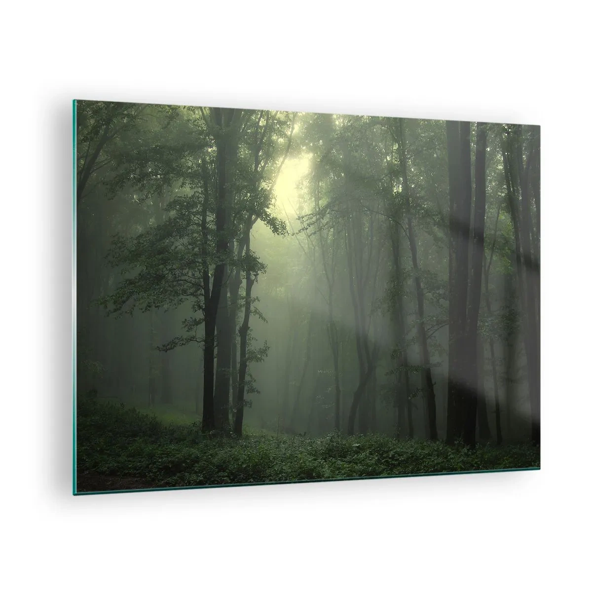 Quadro em vidro - Uma floresta escura envolta em neblina com raios de luz - 70x50cm - Antes de acordar - Decoração de parede moderna para a sala de estar e quarto ARTTOR