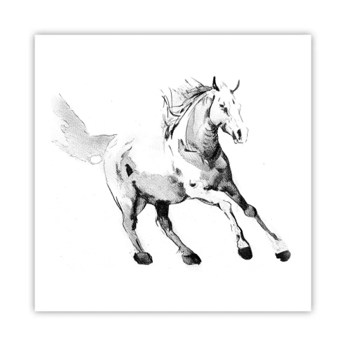 Pôster - Alma Indomável - 60x60 cm