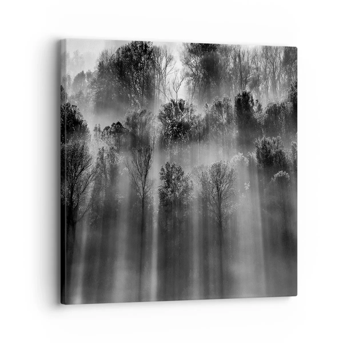 Quadro em tela - Em correntes de luz - 30x30 cm