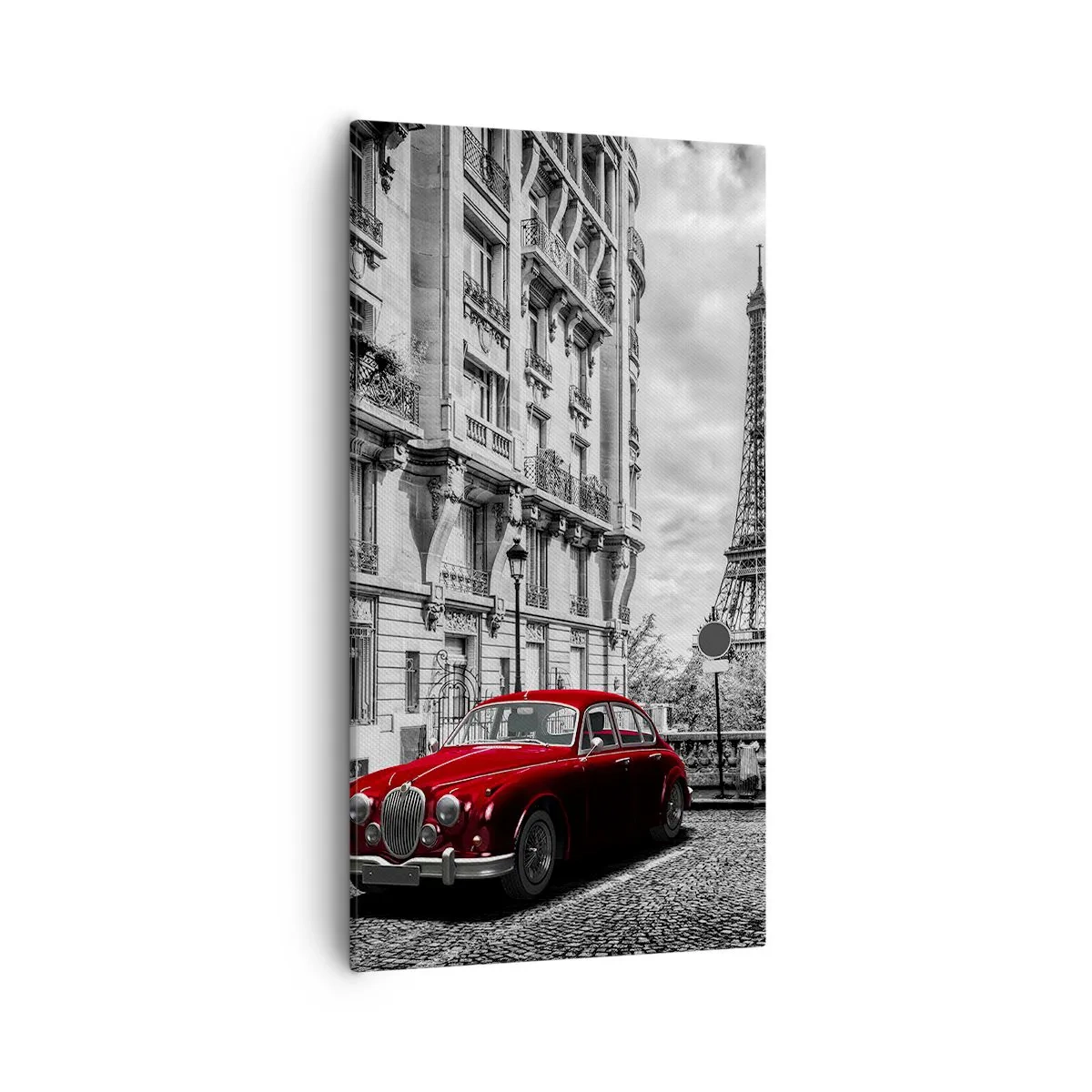 Quadro em tela - Predador na cidade - 55x100 cm