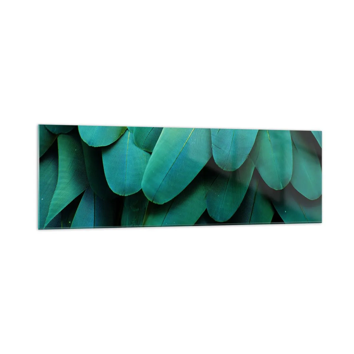 Quadro em vidro - Precisão de papagaio - 160x50 cm