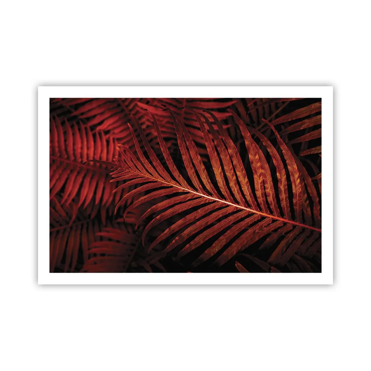 Pôster - O calor da vida - 91x61 cm