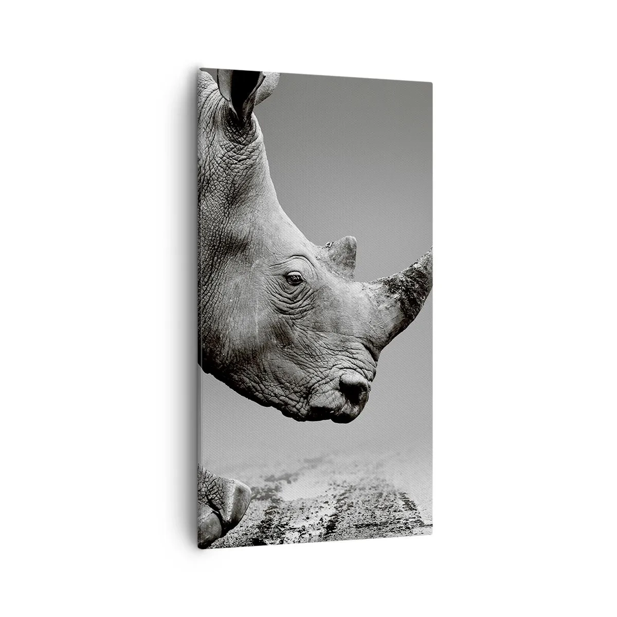 Quadro em tela - Força imparável - 55x100 cm