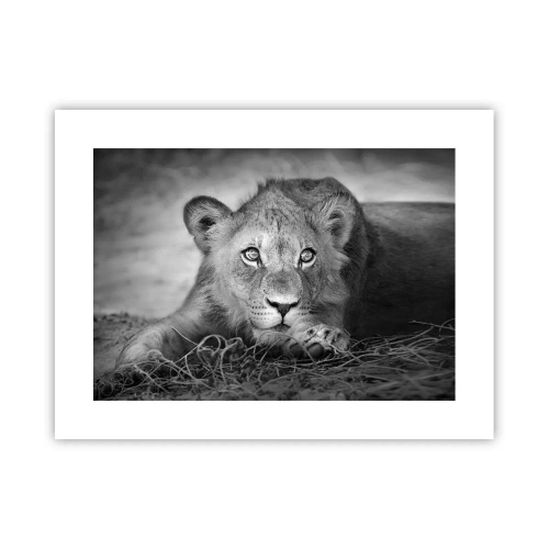 Pôster - Cachorro real - 40x30 cm