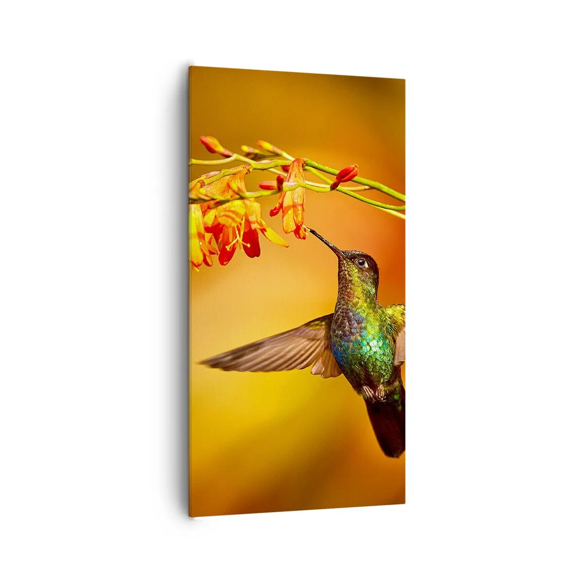 Quadro em tela - Mensageiro Maia da Luz - 65x120 cm