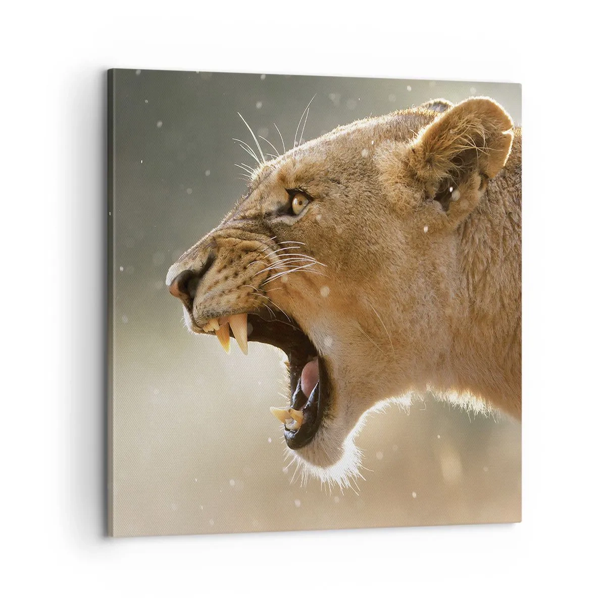 Quadro em tela - Tente não ouvir - 60x60 cm