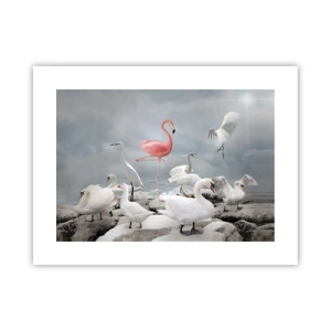 Pôster - Como vim parar aqui? - 40x30 cm