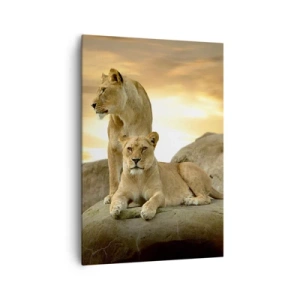 Quadro em tela - Majestade real - 70x100 cm