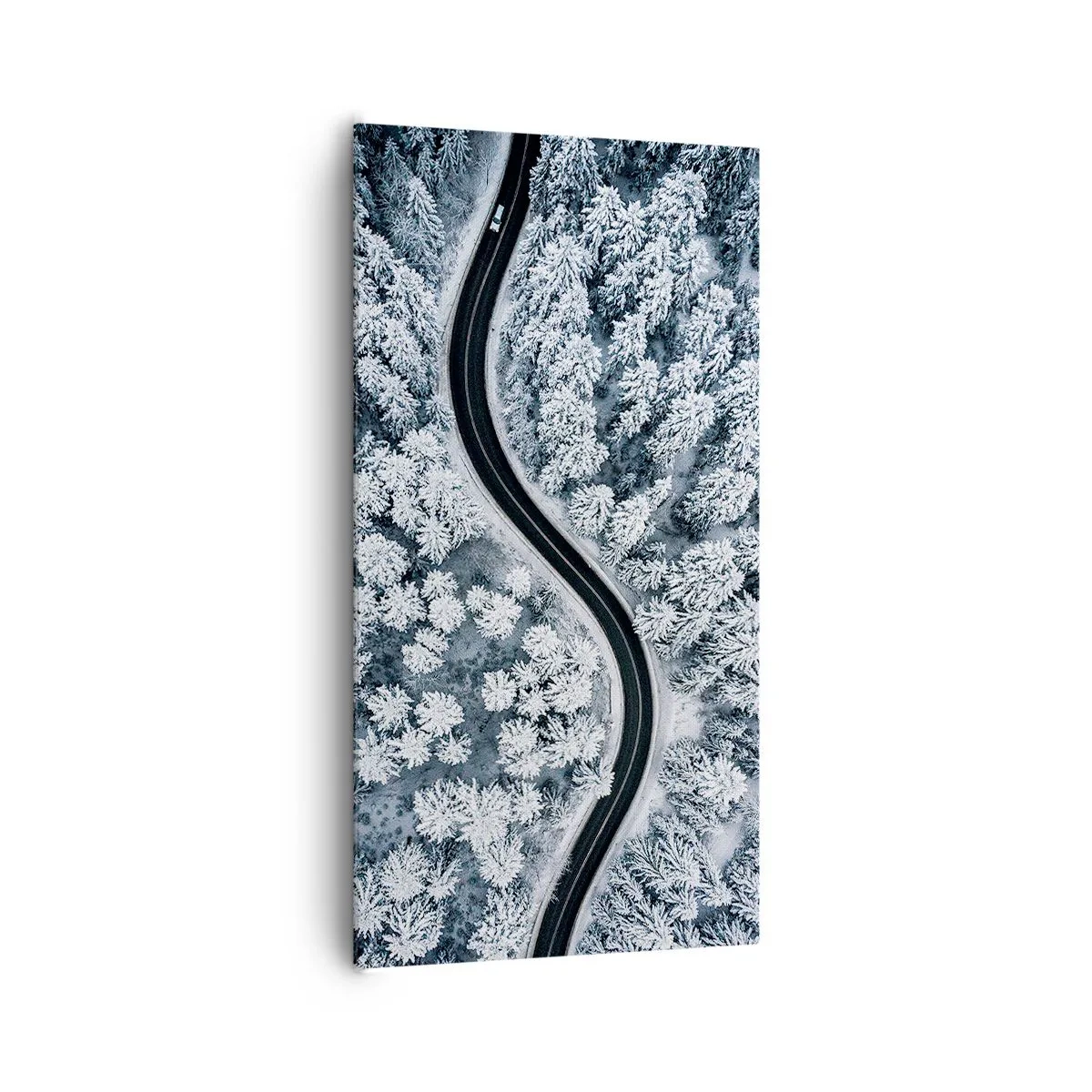 Quadro em tela - Pelaa floresta no inverno - 65x120 cm