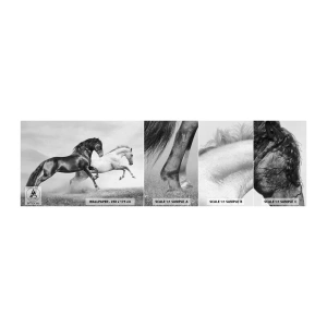 Amostra de Papel de Parede Standard Eco - Anjos e demônios - Animais, Cavalos, Natureza - 100x30 cm