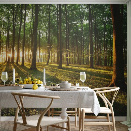 Papel de Parede Premium Sand - Fotografia de todas as primaveras - Paisagem, Floresta, Natureza - 300x210 cm