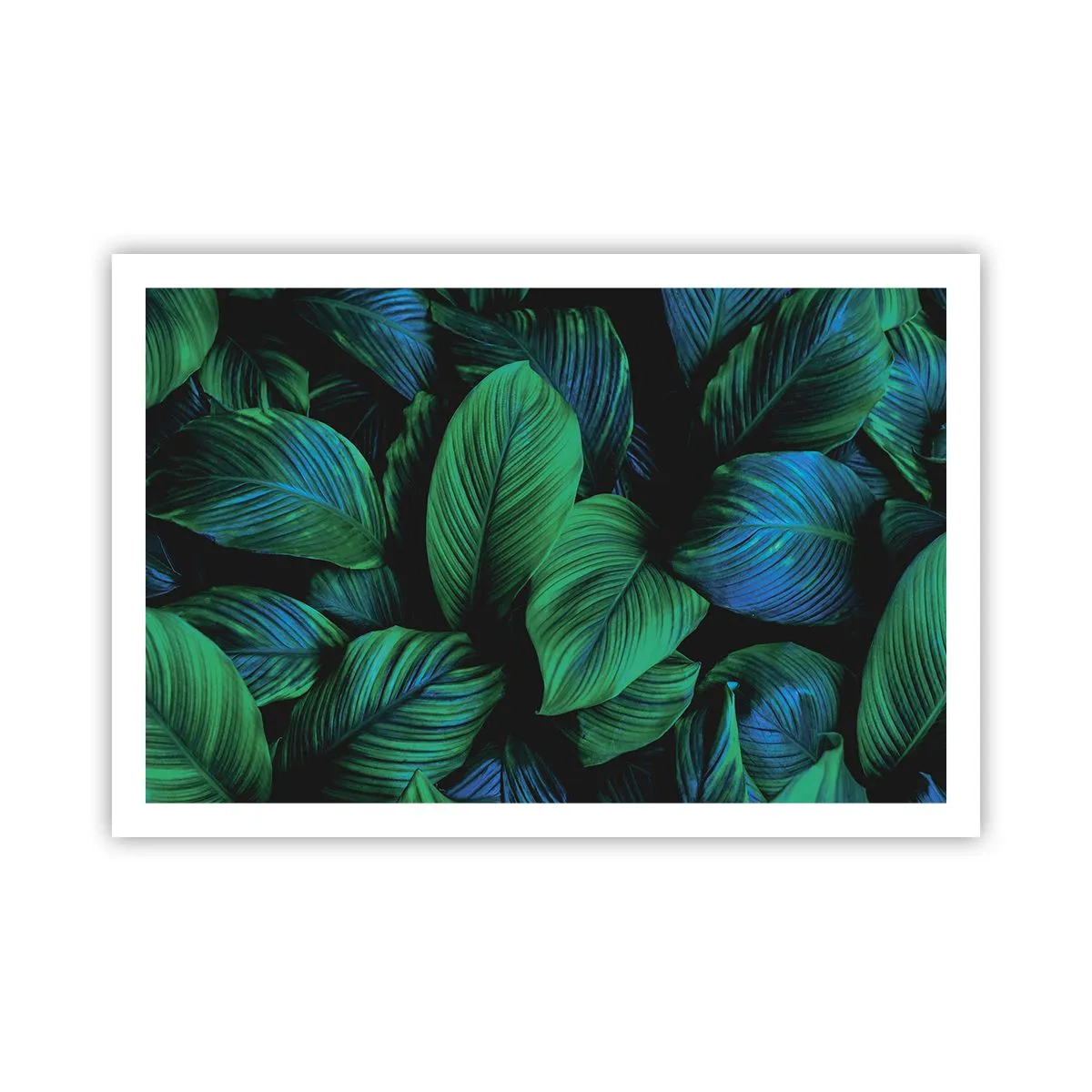 Pôster - Na multidão verde - 91x61 cm