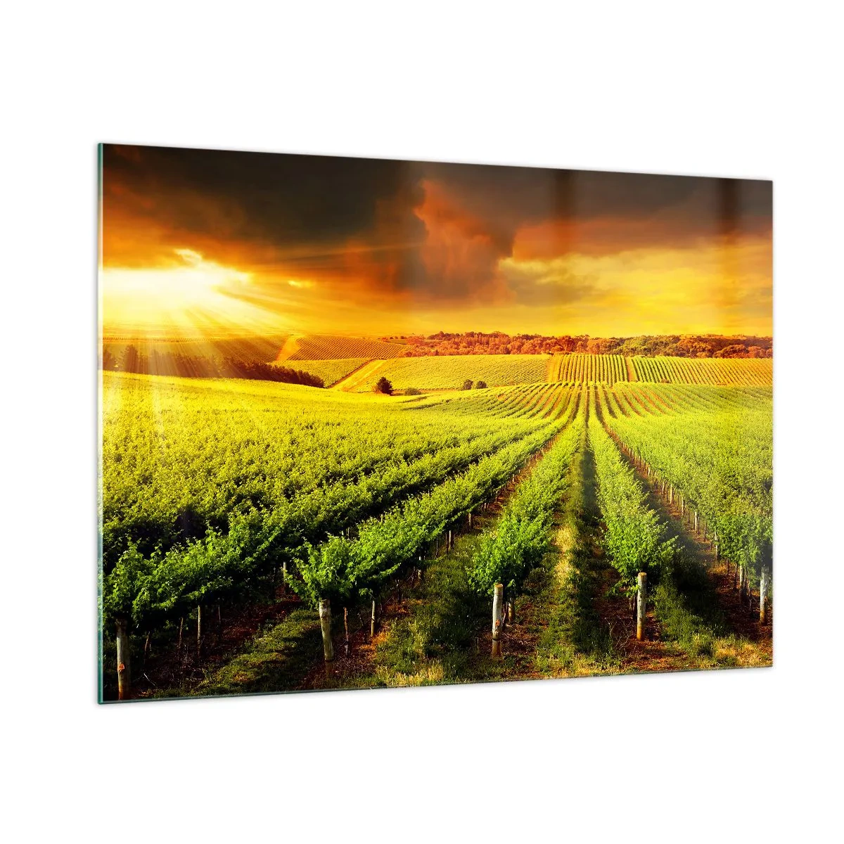 Quadro em vidro - Sob o sol australiano - 100x70 cm