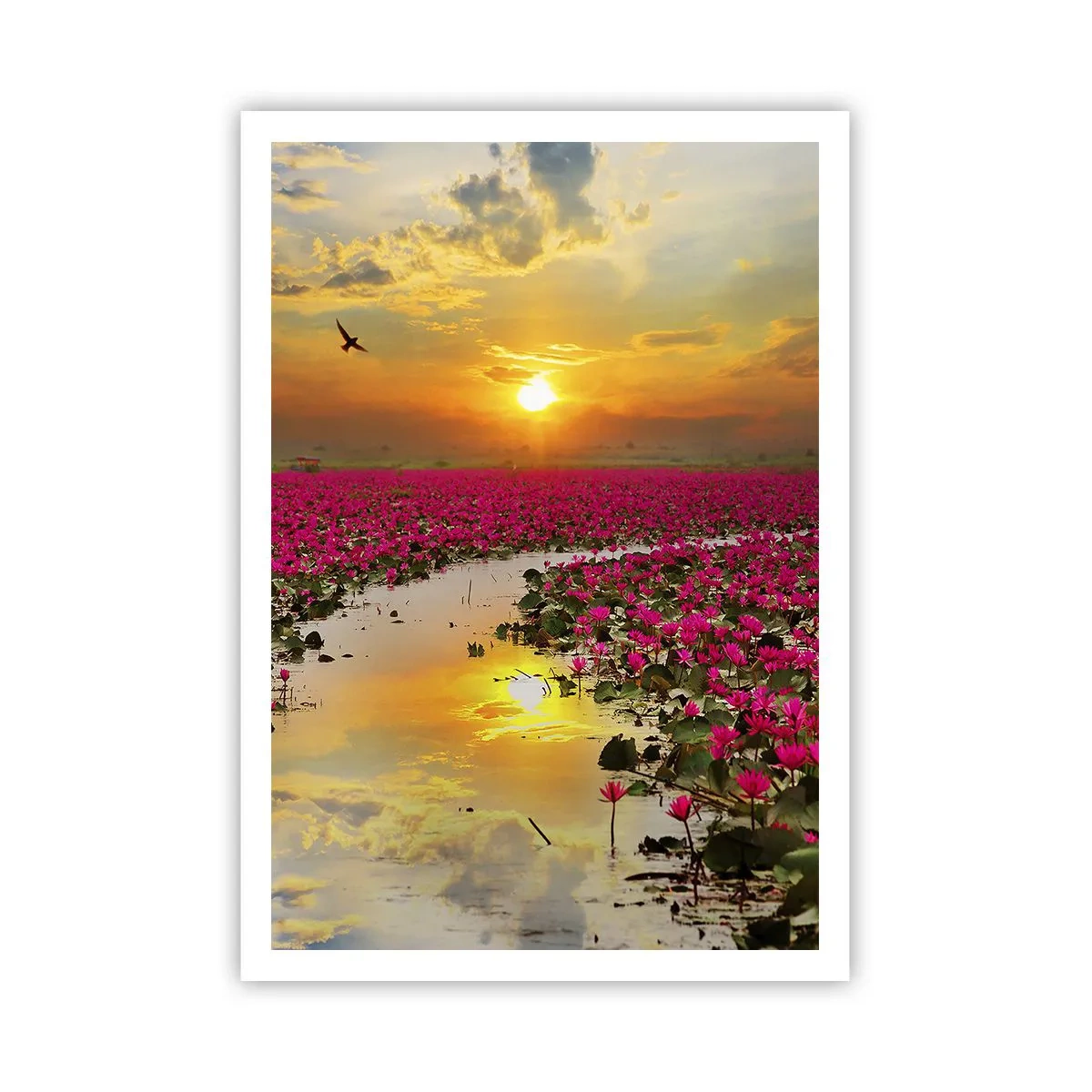 Pôster - A vida secreta do lago - 70x100 cm