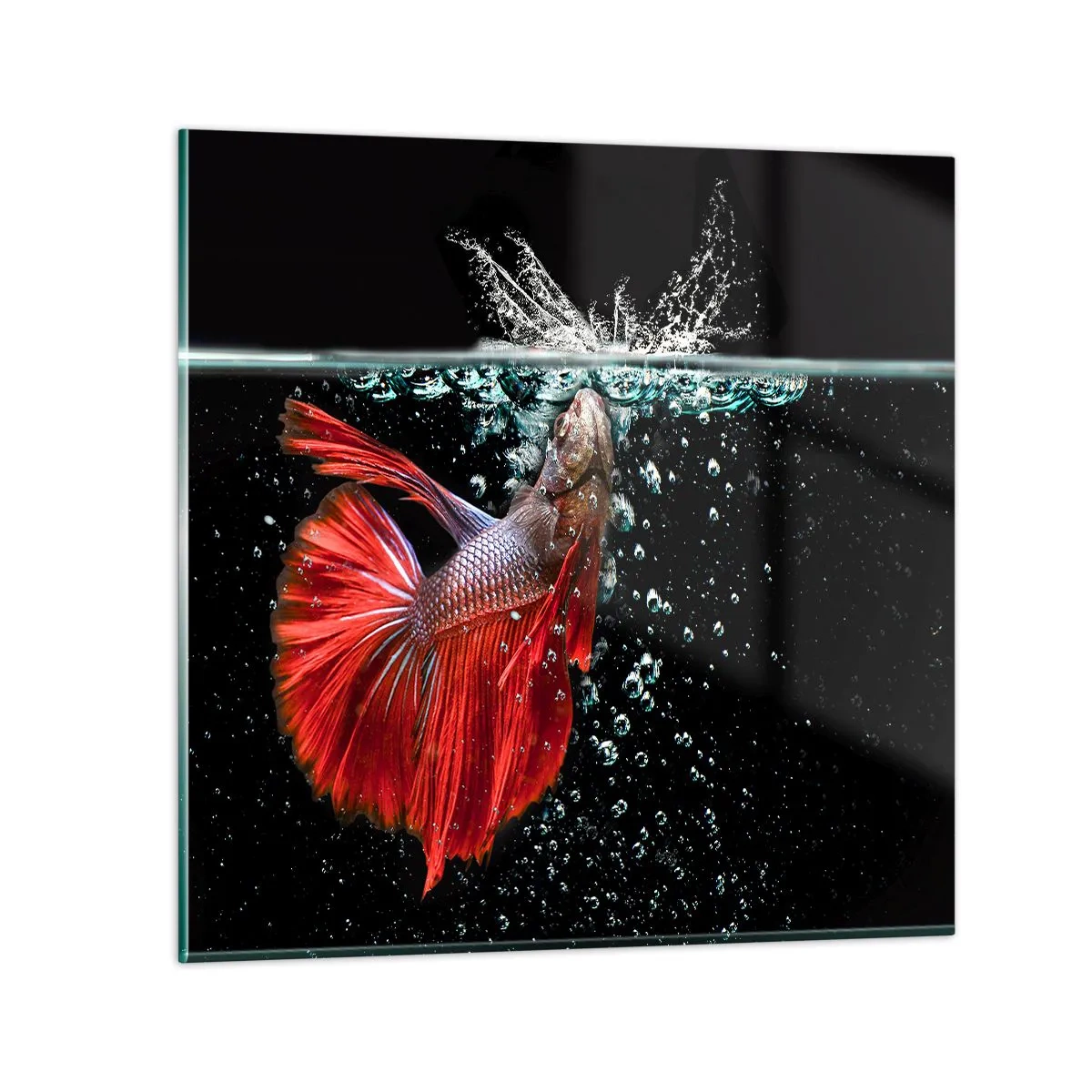 Quadro em vidro - Tens três desejos - 30x30 cm