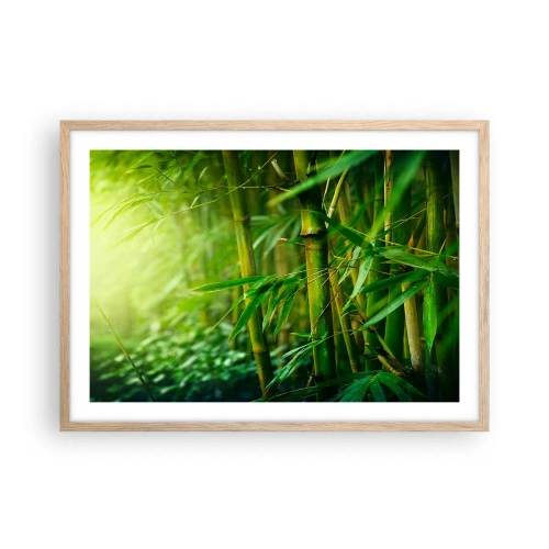 Pôster com moldura de carvalho claro - Conheça a vegetação - 70x50 cm