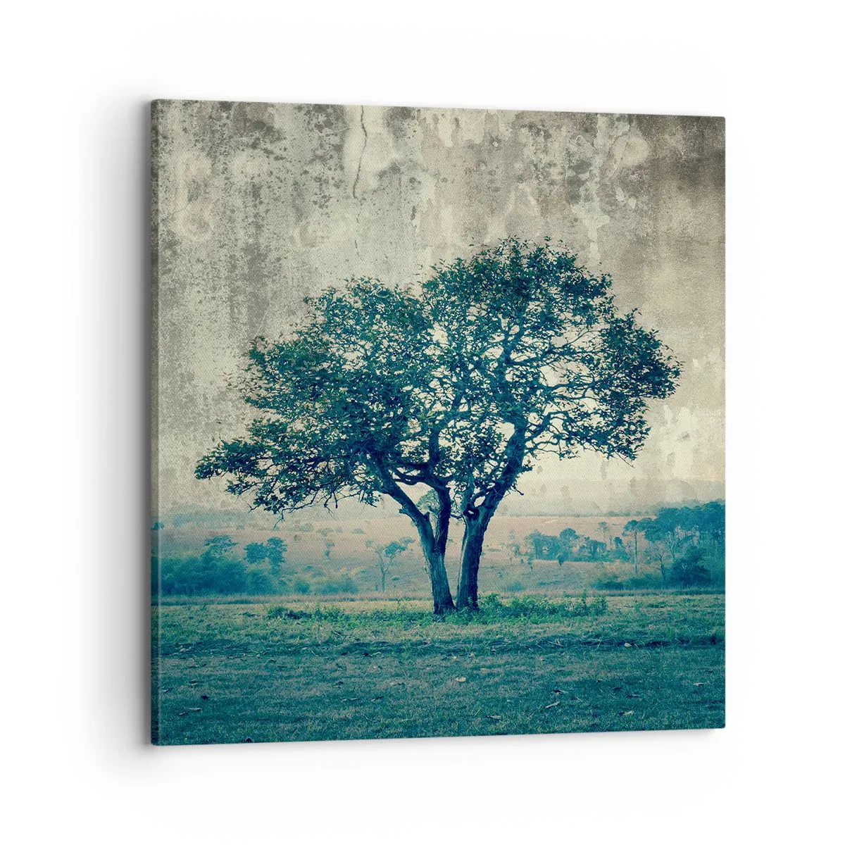 Quadro em tela - Uma macieira num prado azul? - 70x70 cm