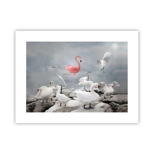 Pôster - Como vim parar aqui? - 40x30 cm