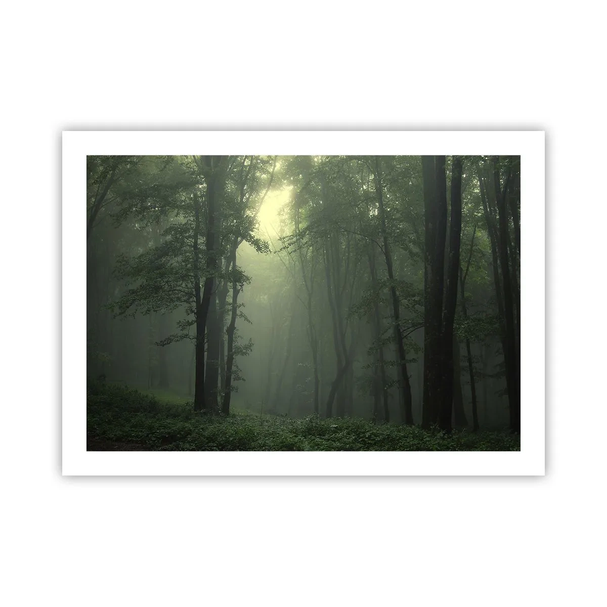 Pôster - Antes de acordar - 70x50 cm