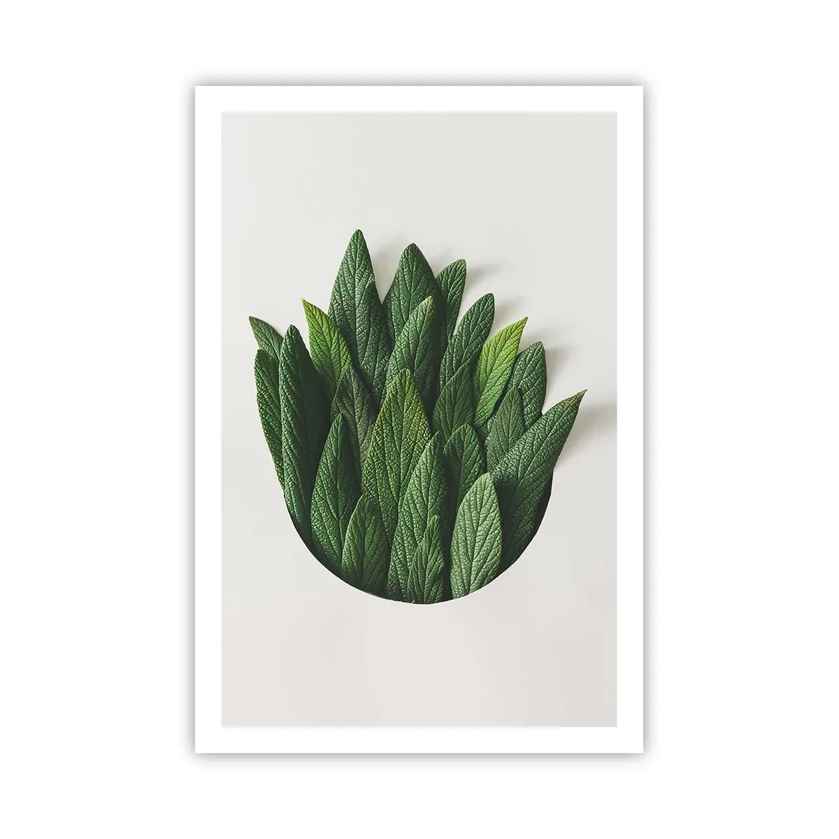 Pôster - Curiosidade indomável - 61x91 cm