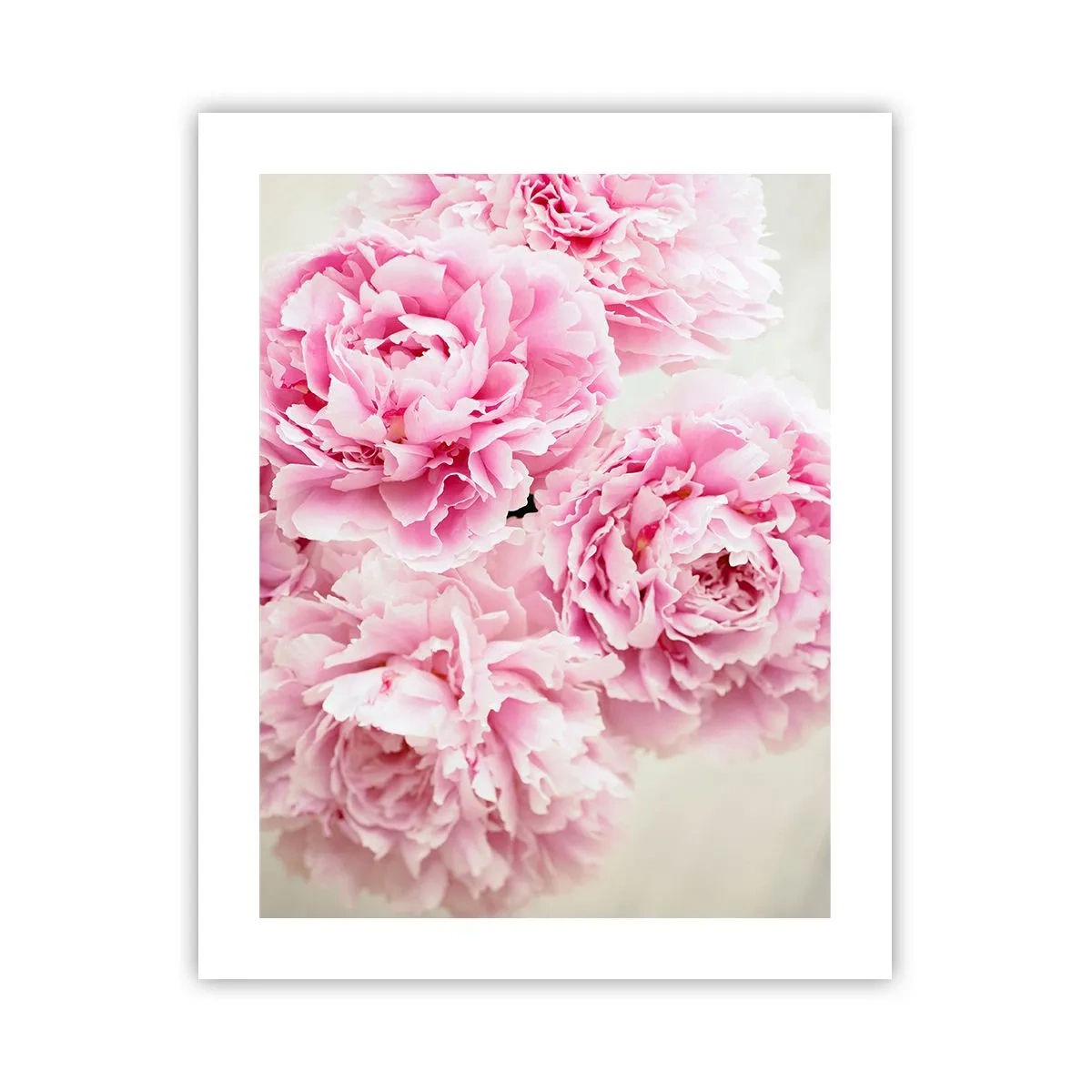 Pôster - Em esplendor rosa - 40x50 cm