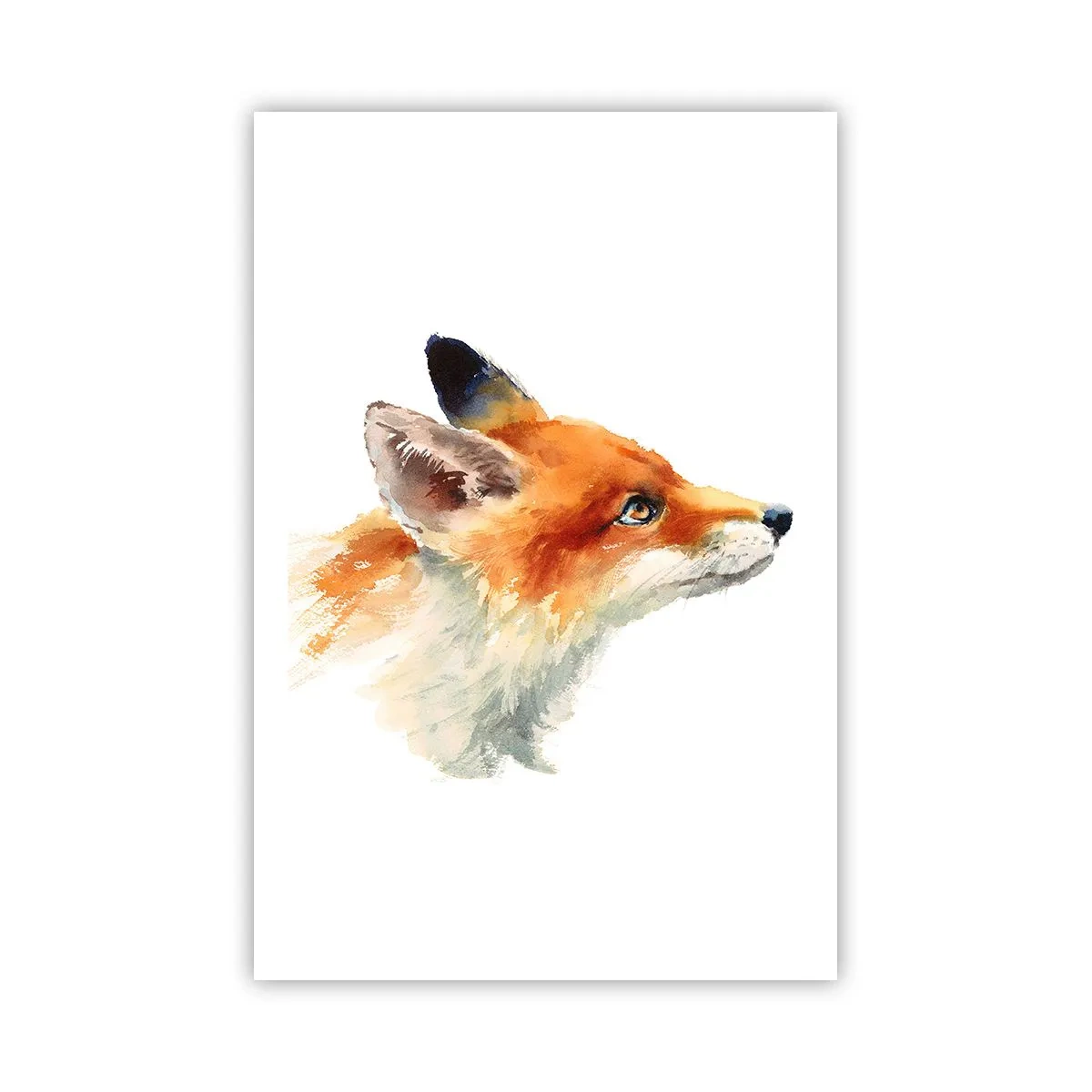 Pôster - Nunca é demais ter cuidado - 61x91 cm