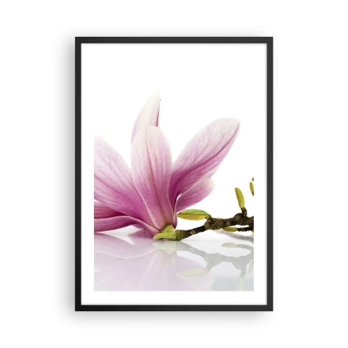 Pôster com moldura preta - Flor de magnólia rosa em um galho com fundo branco - 50x70cm - Suave como um sopro de primavera - Decoração de parede moderna para a sala de estar e quarto ARTTOR