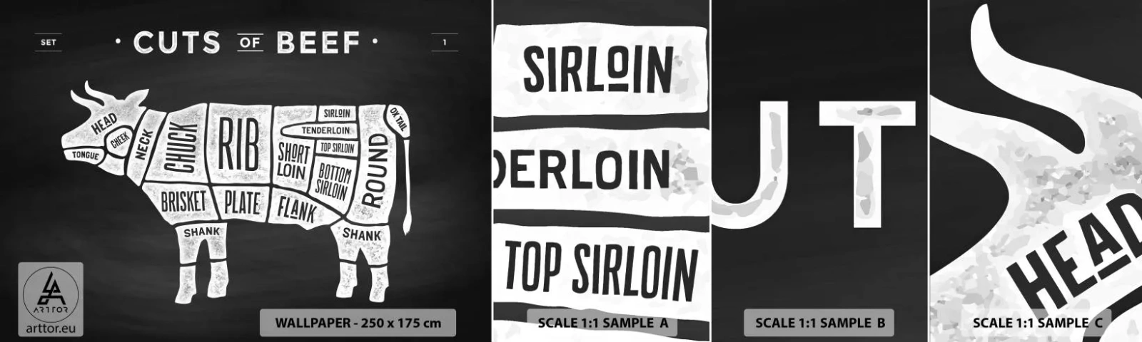 Amostra de Papel de Parede Standard Eco - Cartilha do talhante - Gastronomia, Touro, Carne bovina - 100x30 cm
