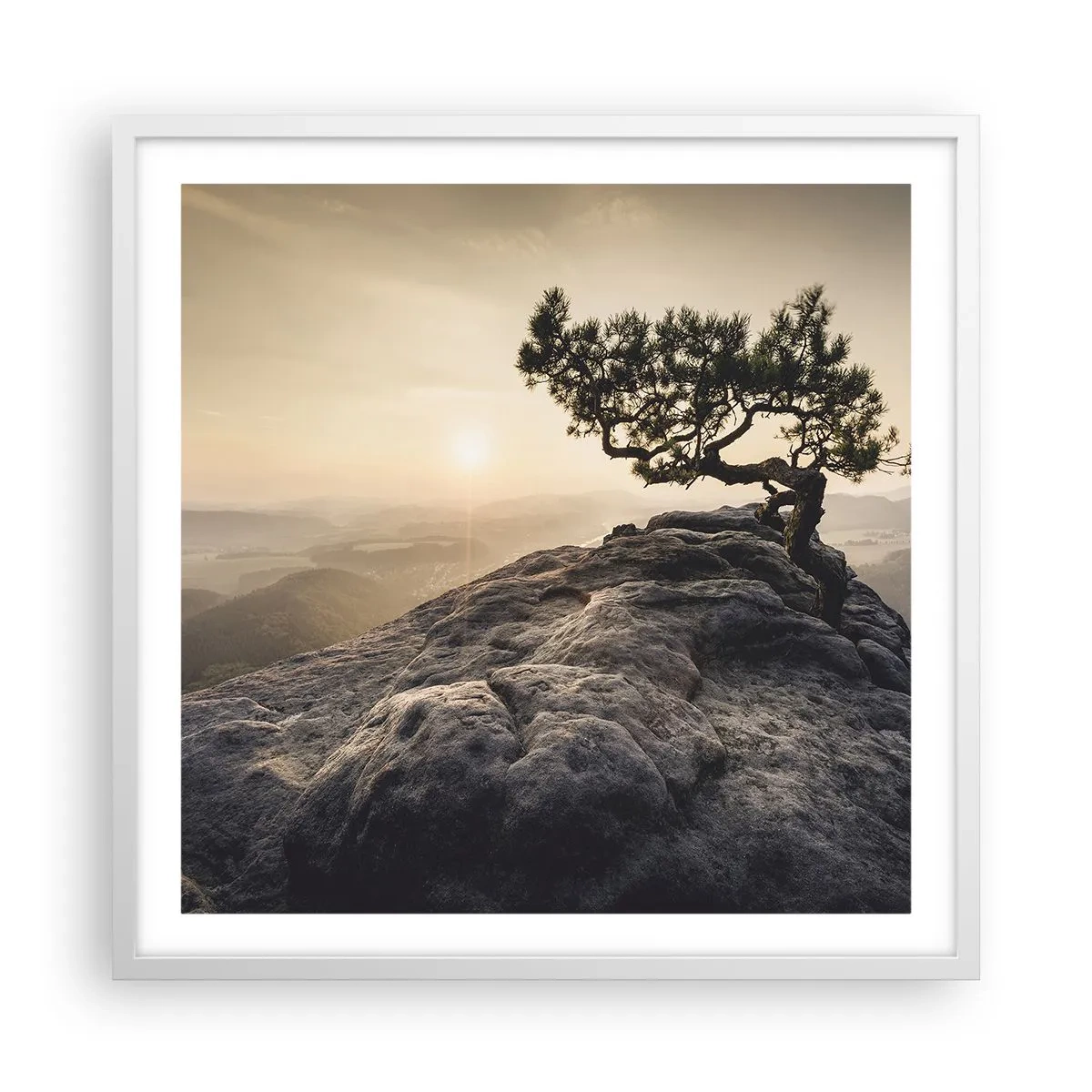 Pôster em moldura branca - A vida ganha sempre - 60x60 cm