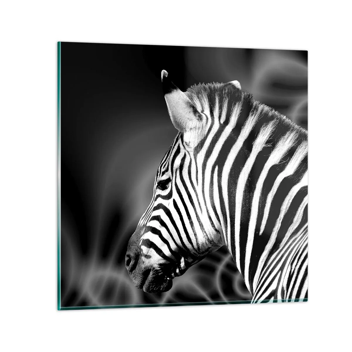 Quadro em vidro - O branco é branco e o preto é preto - 60x60 cm