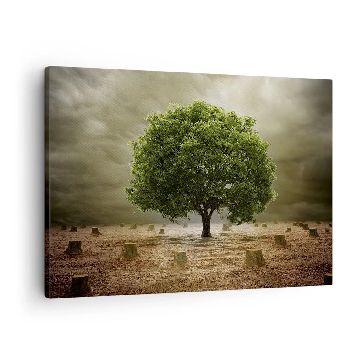 Quadro em tela - Uma árvore verde cercada por troncos caídos contra um céu nublado - 70x50cm - Toda a esperança - Decoração de parede moderna para a sala de estar e quarto ARTTOR