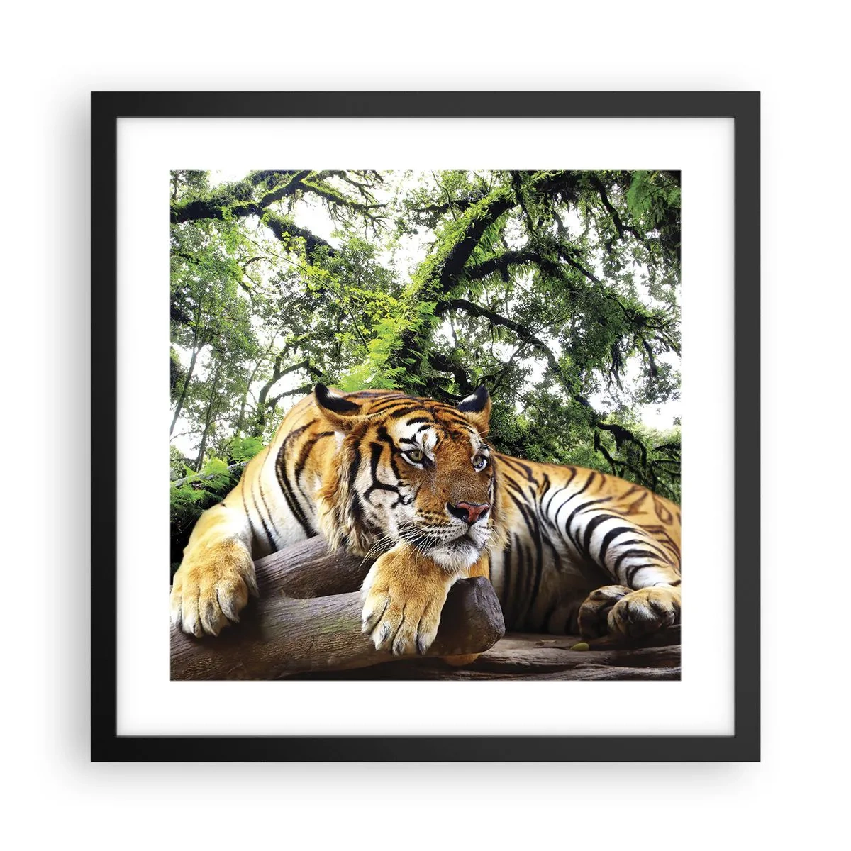 Pôster com moldura preta - Com os melhores cumprimentos - 40x40 cm