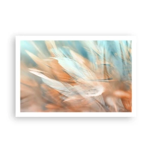 Pôster - Na terra da gentileza - 91x61 cm