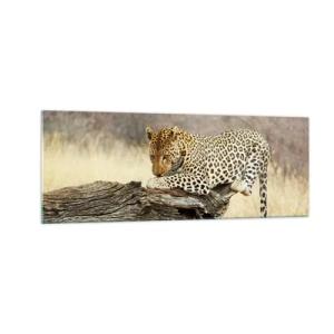 Quadro em vidro - Eu sigo o meu próprio caminho - 140x50 cm