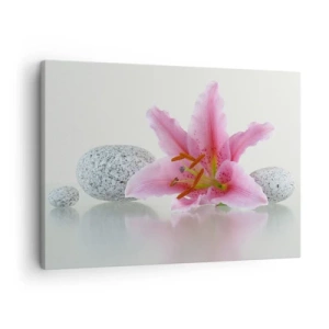 Quadro em tela - Flor de lírio rosa com pedras em um fundo claro - 70x50cm - Estudo em rosa, cinza e branco - Decoração de parede moderna para a sala de estar e quarto ARTTOR