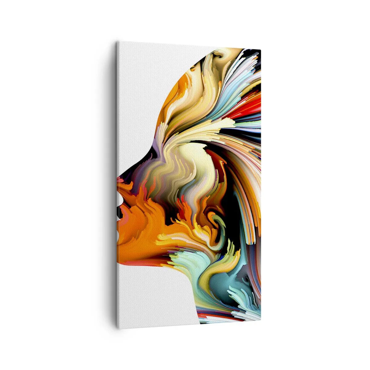 Quadro em tela - Explosão de imaginação - 45x80 cm